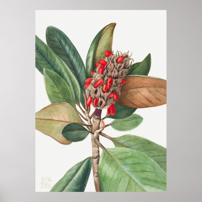 Flowers 2 poster (Vorne)