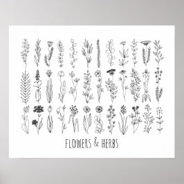 Flowers And Herbs Ink Drawing Poster