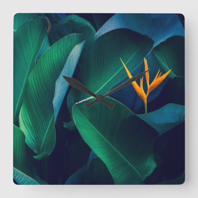 Flowers | Bird of Paradise Quadratische Wanduhr (Vorderseite)