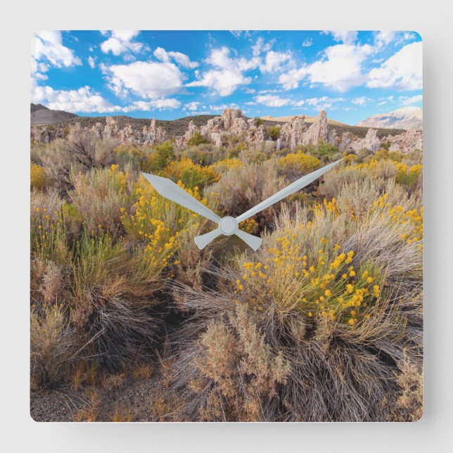 Flowers | Blooming Sagebrush California Quadratische Wanduhr (Vorderseite)