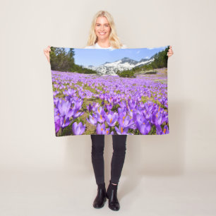 Flowers   Crocus Pirin Mountain Park Bulgaria Fleecedecke