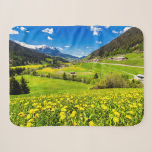 Flowers Dandelion Kanton Graubünden, Switzerland Sherpadecke