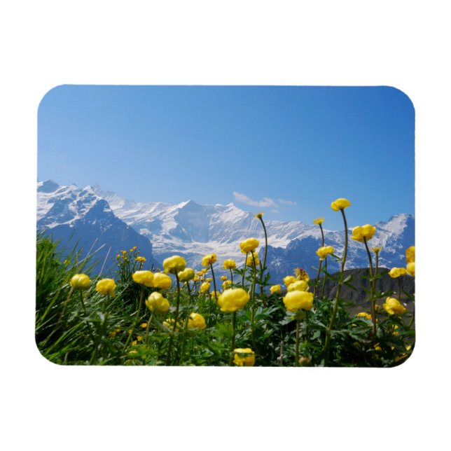 Flowers | Eiger Monch Swiss Alps Magnet (Horizontal)