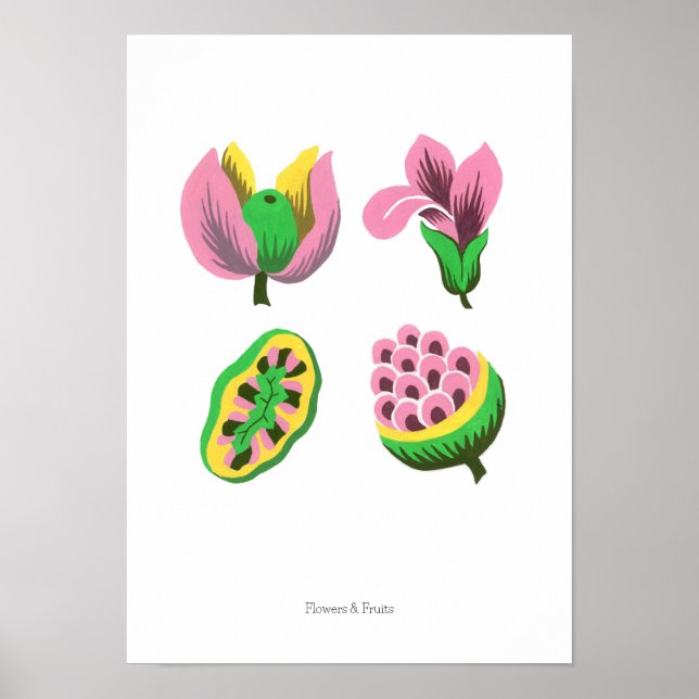 Flowers & Fruits Poster (Vorne)