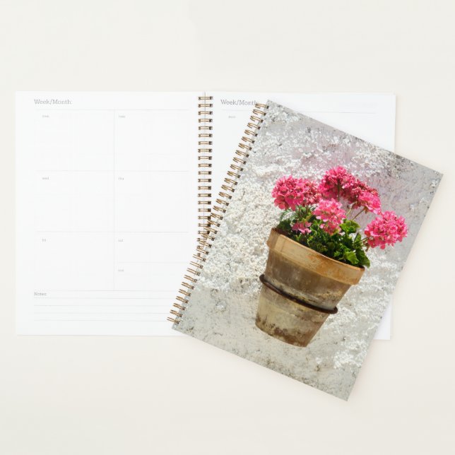 Flowers | Geranium In Flower in Pot Planer (Anzeige)