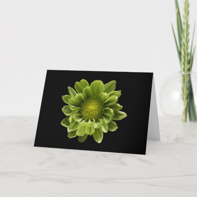 Flowers | Green Chrysanthemum Karte (Vorderseite)