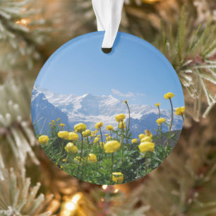 Flowers (homonymie) Eiger Monch Swiss Alps