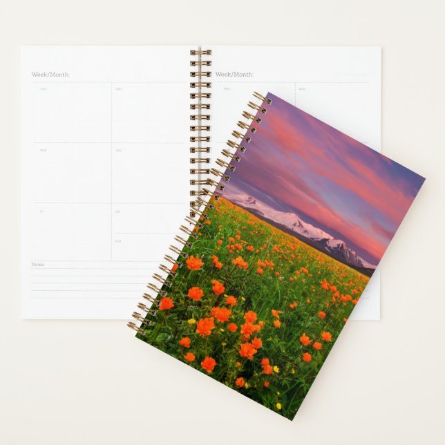 Flowers (homonymie) | Fayot Field Snowcapped Mount (Devant avec enveloppe)