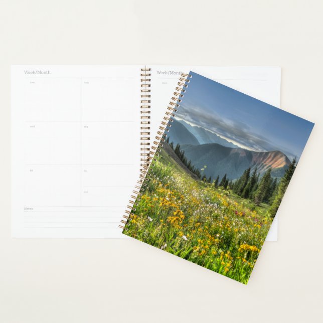 Flowers (homonymie) | Wildflowers Silverton Colora (Devant avec enveloppe)