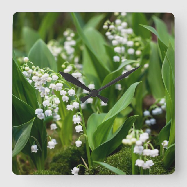 Flowers | Lily of the Valley Sweden Quadratische Wanduhr (Vorderseite)