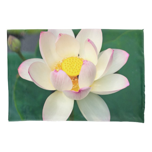 Flowers | Lotus Water Flower Kissenbezug (Vorderseite)