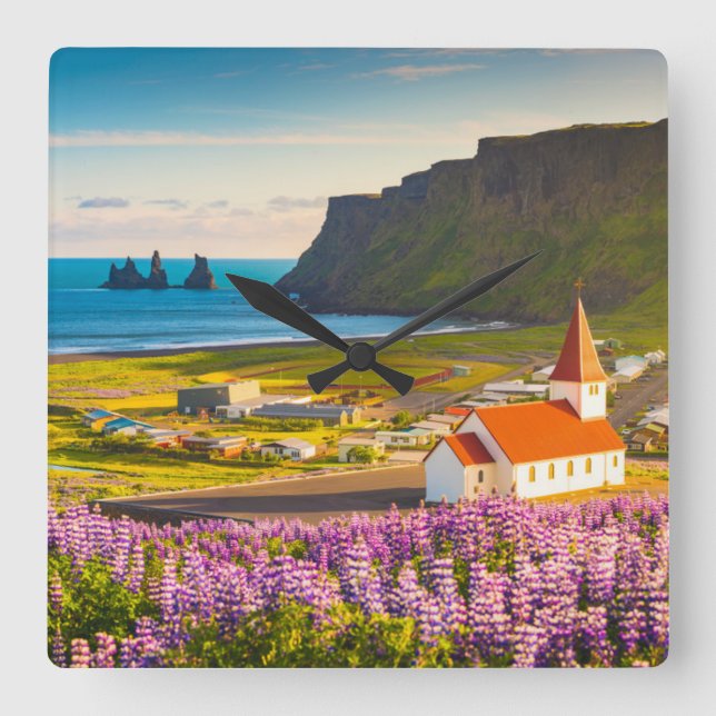 Flowers | Lupines in Bloom Southern Iceland Quadratische Wanduhr (Vorderseite)