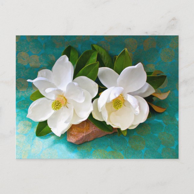 Flowers | Magnolia Flower Postkarte (Vorderseite)