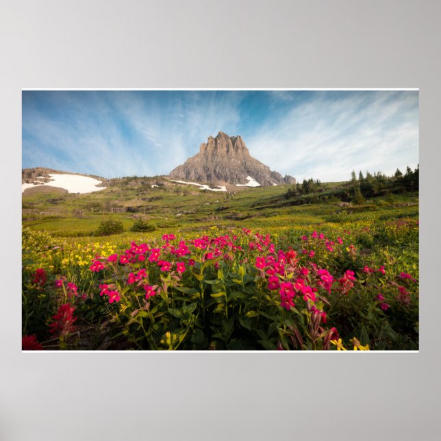 Flowers | Montana's Glacier National Park Poster (Vorne)