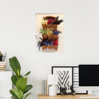Flowers on the Wall in Nice Photography Poster 