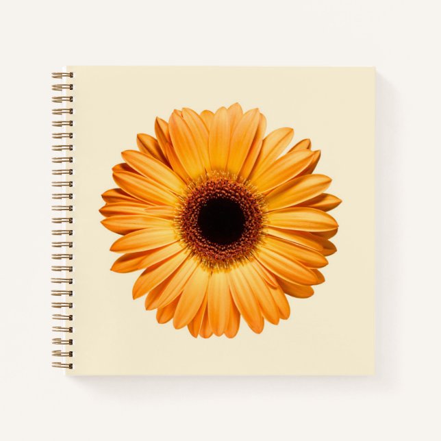 Flowers | Orange Gerbera Notizbuch (Vorderseite)