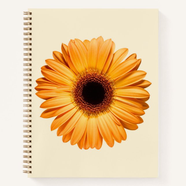 Flowers | Orange Gerbera Notizbuch (Vorderseite)