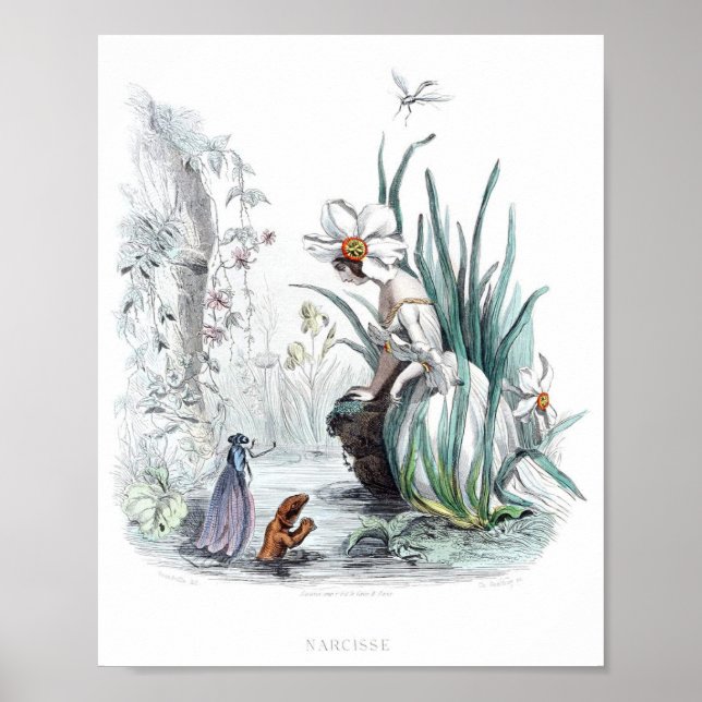 Flowers Personified -Daffodil Poster (Vorne)