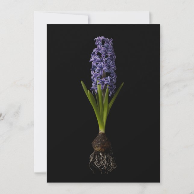 Flowers | Purple Hyacinth Bulb Dankeskarte (Vorderseite)