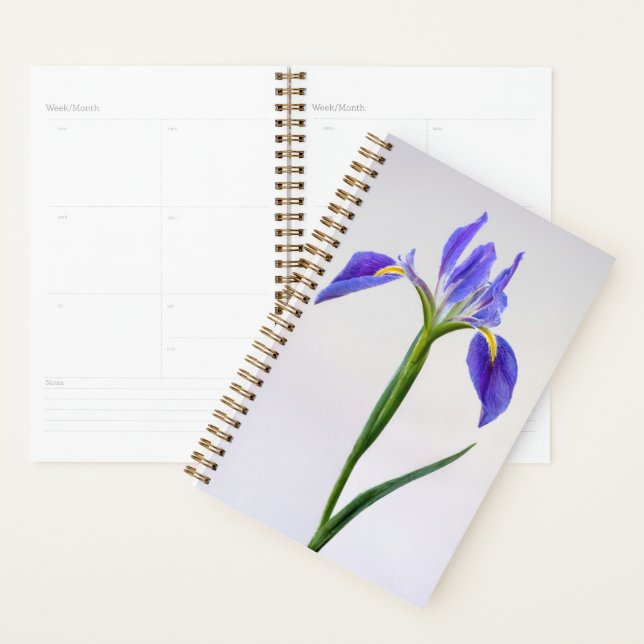 Flowers | Purple Iris Flower Planer (Anzeige)