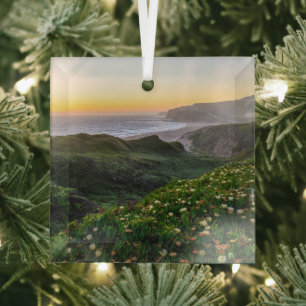 Flowers   Santa Cruz California Ornament Aus Glas