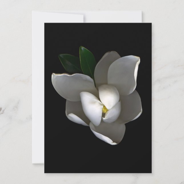 Flowers | Single White Magnolia Blossom Dankeskarte (Vorderseite)