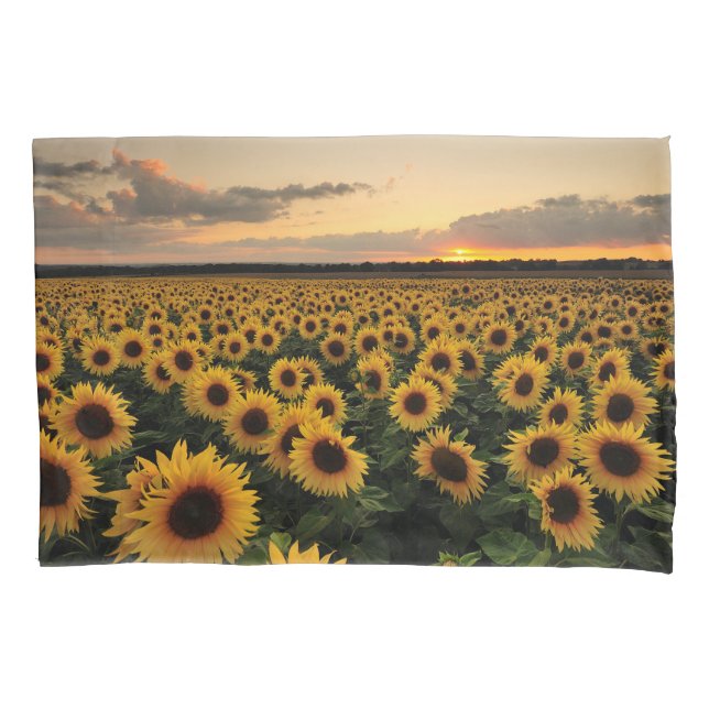 Flowers | Sunflower Field Kissenbezug (Vorderseite)