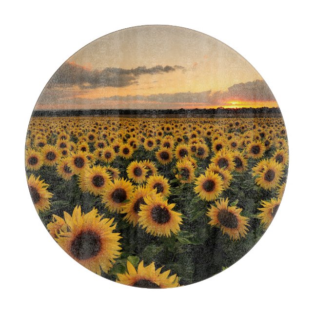 Flowers | Sunflower Field Schneidebrett (Vorderseite)