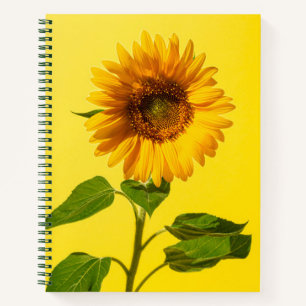 Flowers   Sunflower on Yellow Notizbuch