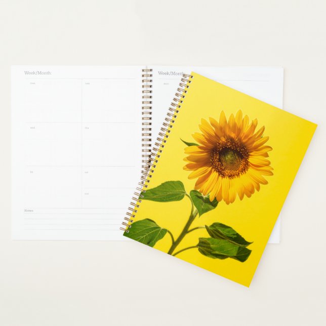 Flowers | Sunflower on Yellow Planer (Anzeige)