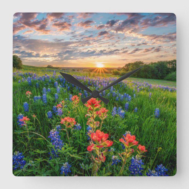 Flowers | Texas Bluebonnets & Indian Paintbrush Quadratische Wanduhr (Vorderseite)