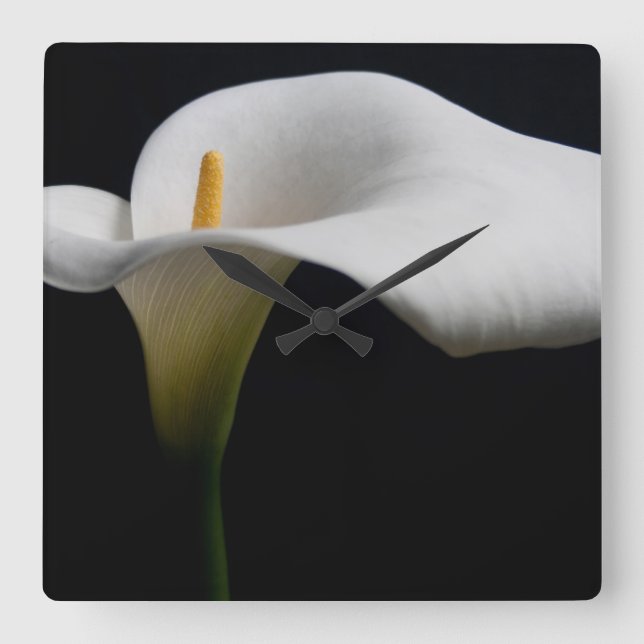 Flowers | White Calla Lily Quadratische Wanduhr (Vorderseite)
