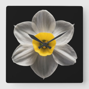 Flowers White Daffodil Flower Quadratische Wanduhr