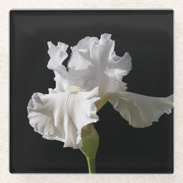 Flowers | White Iris Glasuntersetzer (Vorderseite)
