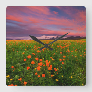 Flowers Wildflower Field Snowcapped Mountains Quadratische Wanduhr