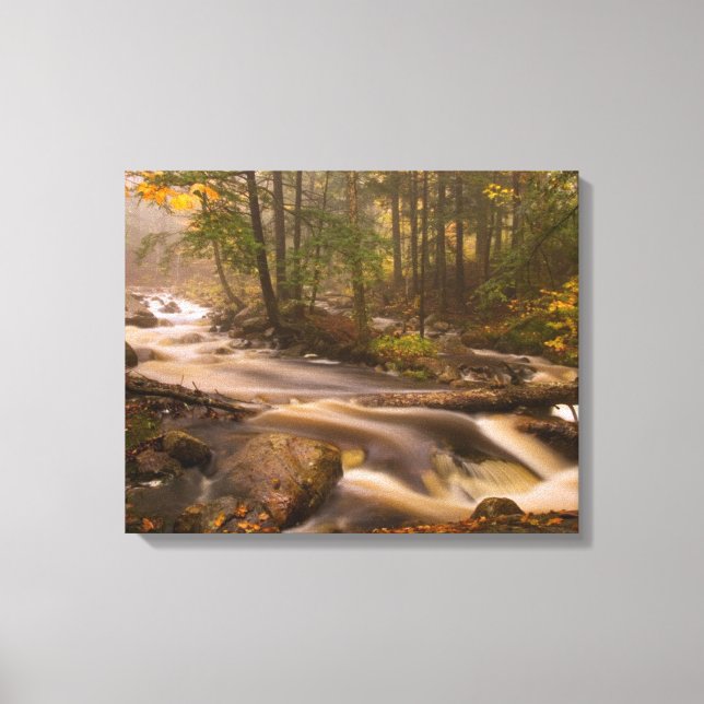 Flowstream Appalachian Trail | Vermont Leinwanddruck (Vorderseite)