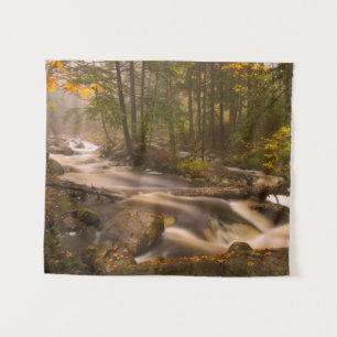 Flowstream Appalachian Trail   Vermont Wandteppich