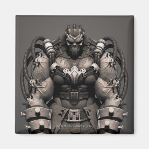 Fluch-Alternative Magnet