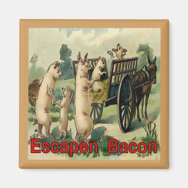 Flucht aus Bacon, Hogs Magnet (Vorne)