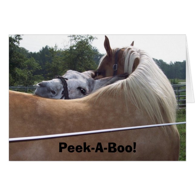 Flüchtige Blick-A-Boo! (Vorderseite (Horizontal))