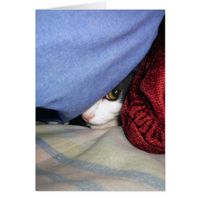 Flüchtige Blick a Boo (Vorne)