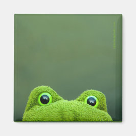 Flüchtige Blick-a-Boo-Frog | Square Magnet Design