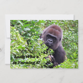 Flüchtige Blick-A-Boo Gorilla - Einladung zum Gebu