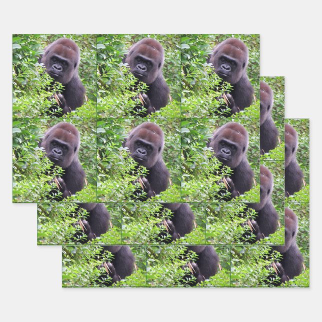 Flüchtige Blick-A-Boo-Gorilla-Jedem Anlass Geschenkpapier Set (Set)