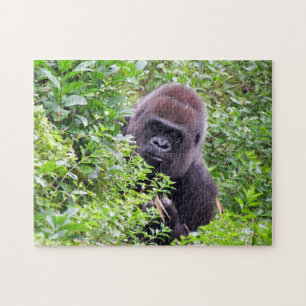Flüchtige Blick-A-Boo-Gorilla-Puzzle