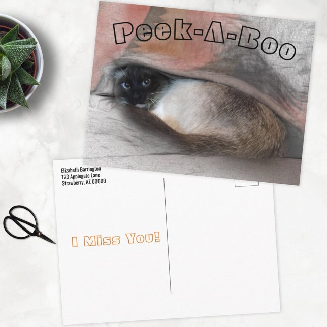 Flüchtige Blick-A-Boo Ich vermisse Sie Siam Kitten Postkarte (Von Creator hochgeladen)