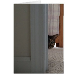 Flüchtige Blick A Boo! Katzenkarte