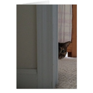 Flüchtige Blick A Boo! Katzenkarte