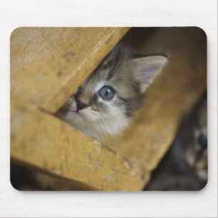 Flüchtige Blick-A-Boo Mousepad
