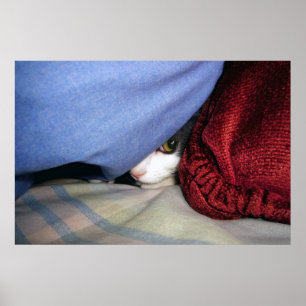 Flüchtige Blick a Boo Poster